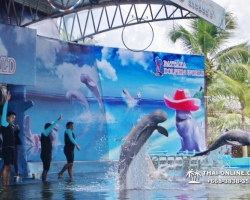 Дельфины купаться шоу поездка Seven Countries Паттайя Таиланд фото 67