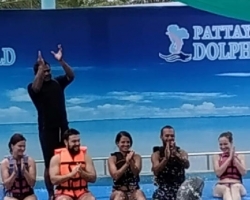 Дельфины купаться шоу поездка Seven Countries Паттайя Таиланд фото 148
