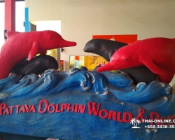 Дельфины купаться шоу поездка Seven Countries Паттайя Таиланд фото 156