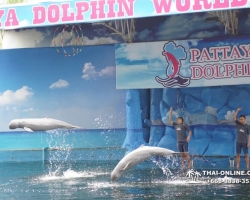 Дельфины купаться шоу поездка Seven Countries Паттайя Таиланд фото 122