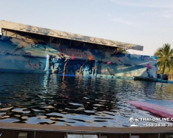 Дельфины купаться шоу поездка Seven Countries Паттайя Таиланд фото 102