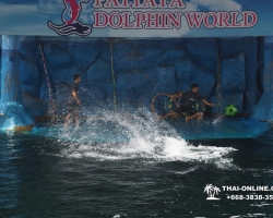 Дельфины купаться шоу поездка Seven Countries Паттайя Таиланд фото 127