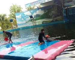 Дельфины купаться шоу поездка Seven Countries Паттайя Таиланд фото 153