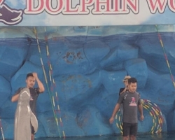 Дельфины купаться шоу поездка Seven Countries Паттайя Таиланд фото 188