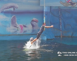 Дельфины купаться шоу поездка Seven Countries Паттайя Таиланд фото 206