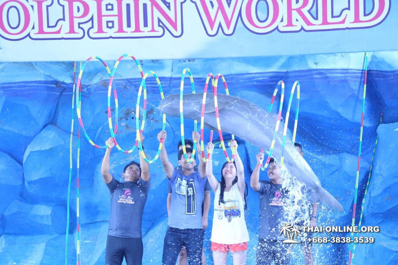 Дельфины купаться шоу поездка Таиланд фото Thai-Online 37