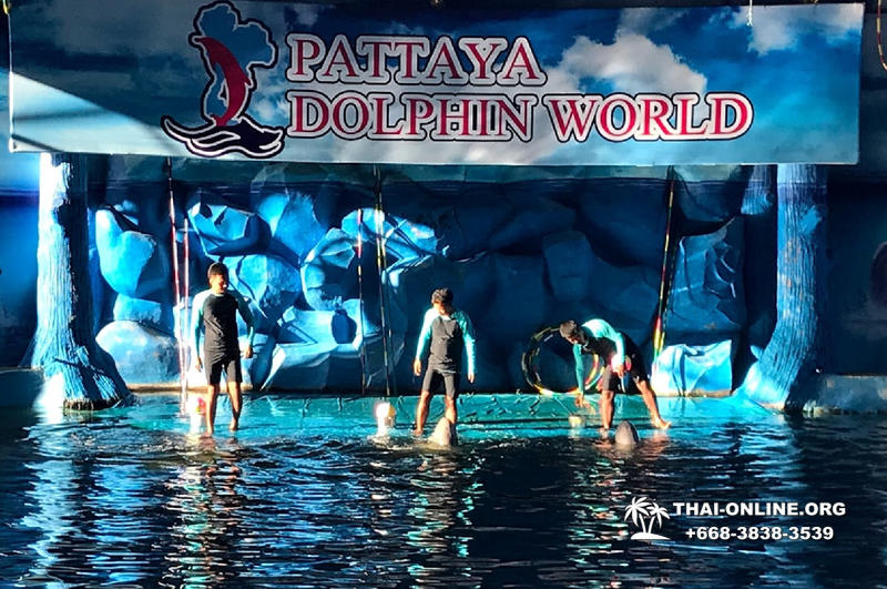 Дельфинарий Pattaya Dolphin World экскурсия компании Seven Countries в Паттайе Таиланде фото 12