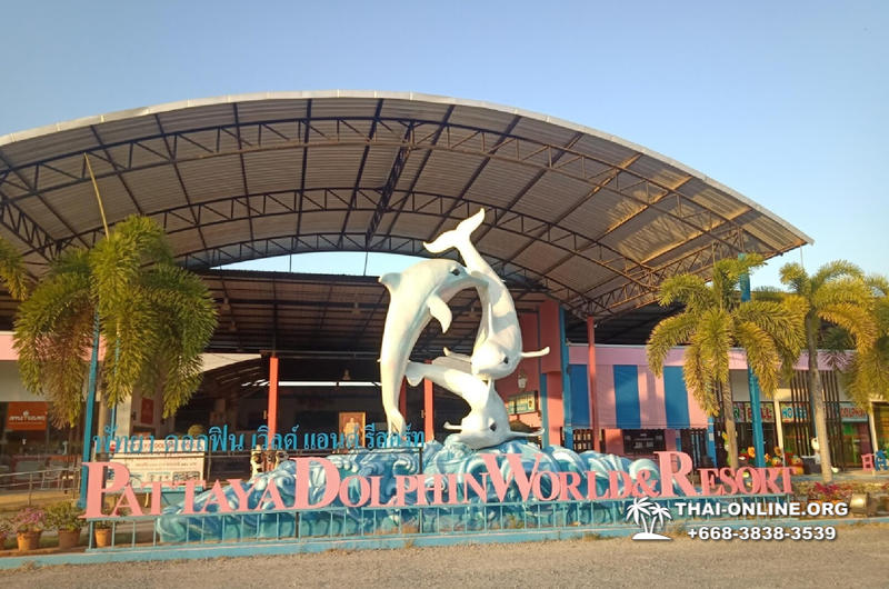 Дельфины купаться шоу поездка Seven Countries Паттайя Таиланд фото 55