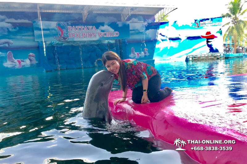 Дельфины купаться шоу поездка Seven Countries Паттайя Таиланд фото 49