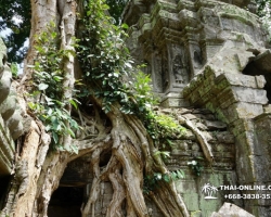 Путешествие из Тайланда в Камбоджу, Ангкор Ват - фотография 63