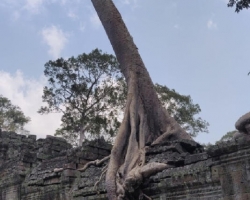 Путешествие из Тайланда в Камбоджу, Ангкор Ват - фотография 15