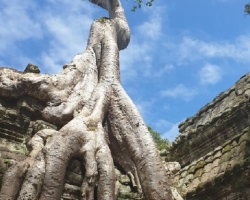 Путешествие из Тайланда в Камбоджу, Ангкор Ват - фотография 21
