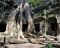 Путешествие из Тайланда в Камбоджу, Ангкор Ват - фотография 68