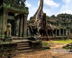 Путешествие из Тайланда в Камбоджу, Ангкор Ват - фотография 74