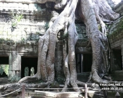 Путешествие из Тайланда в Камбоджу, Ангкор Ват - фотография 76