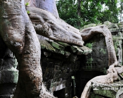 Путешествие из Тайланда в Камбоджу, Ангкор Ват - фотография 60