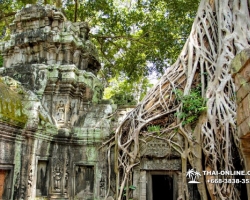 Путешествие из Тайланда в Камбоджу, Ангкор Ват - фотография 59