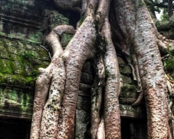 Путешествие из Тайланда в Камбоджу, Ангкор Ват - фотография 17