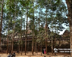 Путешествие из Тайланда в Камбоджу, Ангкор Ват - фотография 49