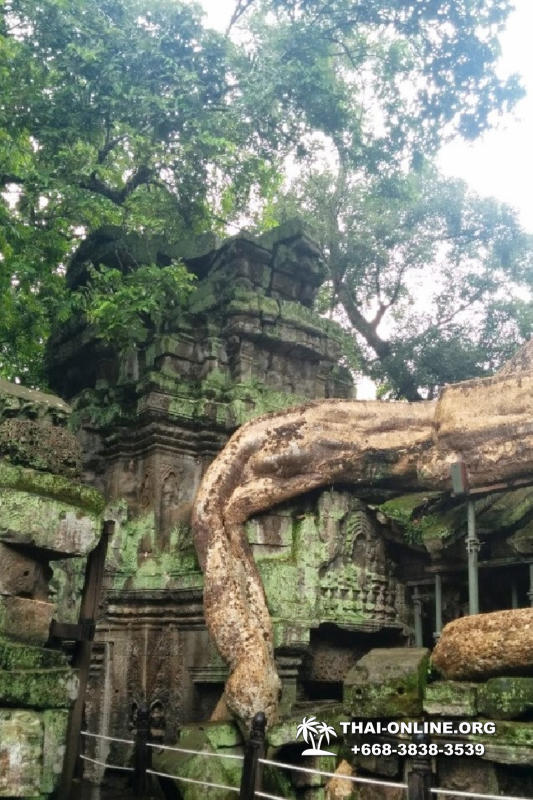 Камбоджа на 3 дня Ангкор Ват из Паттайи экскурсия Seven Countries в Паттайе фото 16