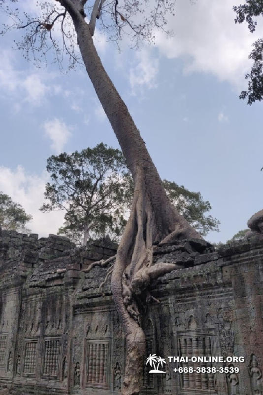 Камбоджа на 3 дня Ангкор Ват из Паттайи экскурсия Seven Countries в Паттайе фото 7