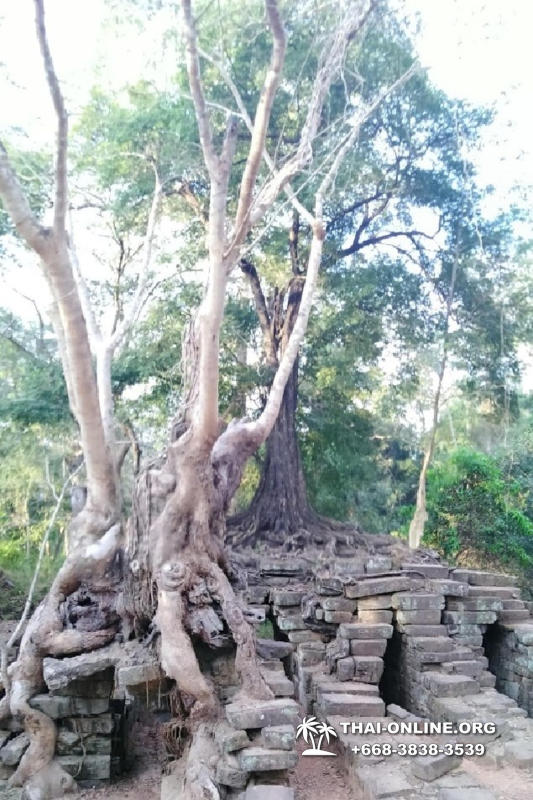 Путешествие из Тайланда в Камбоджу, Ангкор Ват - фотография 35