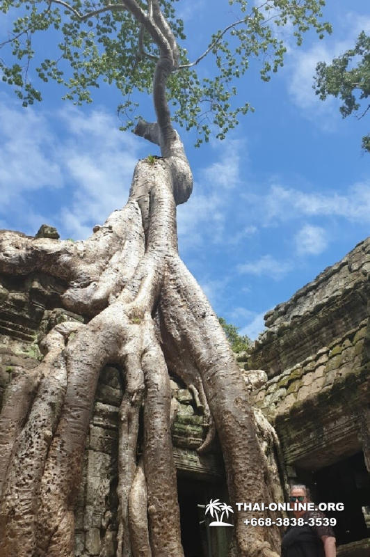 Камбоджа на 3 дня Ангкор Ват из Паттайи экскурсия Seven Countries в Паттайе фото 14