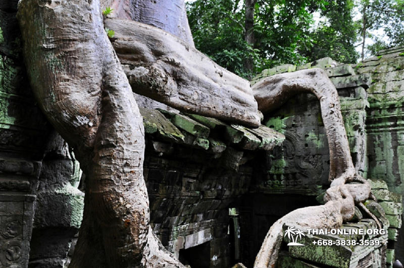 Путешествие из Тайланда в Камбоджу, Ангкор Ват - фотография 60