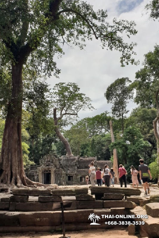Камбоджа на 3 дня Ангкор Ват из Паттайи экскурсия Seven Countries в Паттайе фото 18