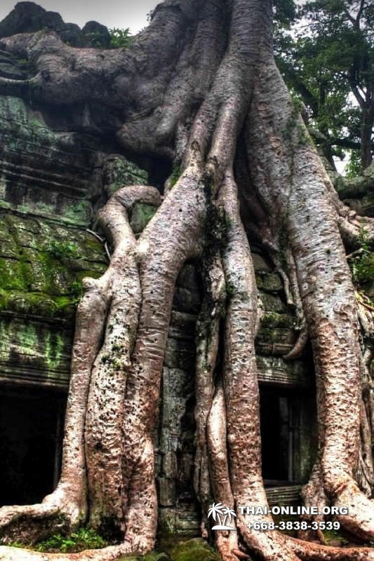 Путешествие из Тайланда в Камбоджу, Ангкор Ват - фотография 17