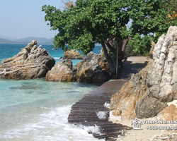 Изумрудный Остров Паттайя Тайланд тур Seven Countries фото 554