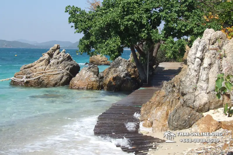 Изумрудный Остров Паттайя Тайланд тур Seven Countries фото 554
