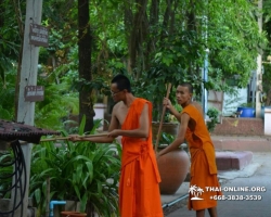 Магия Востока экскурсия Seven Countries в Таиланде в Паттайе фото 137