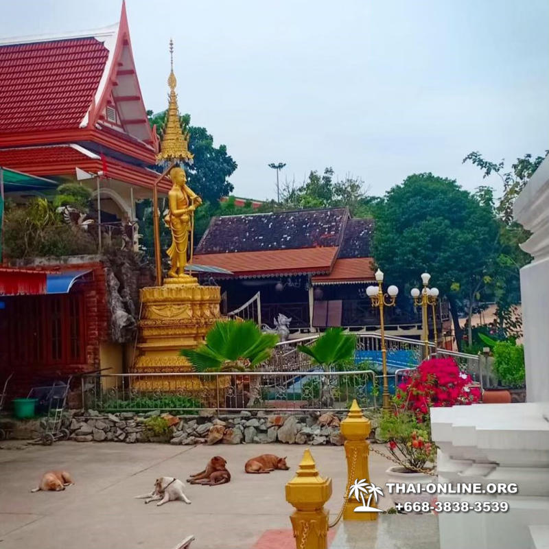 Магия Востока экскурсия Seven Countries в Таиланде в Паттайе фото 97