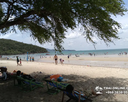 Поездка на пляж Сай Кео в Тайланде - фотогалерея экскурсии 103