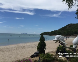 Поездка на пляж Сай Кео в Тайланде - фотогалерея экскурсии 105