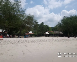 Поездка на пляж Сай Кео в Тайланде - фотогалерея экскурсии 65