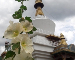 Поездка Королевство Бутан из Тайланда - фото Thai Online 188