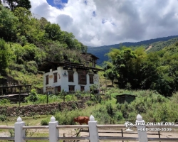 Поездка Королевство Бутан из Тайланда - фото Thai Online 29