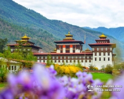 Поездка Королевство Бутан из Тайланда - фото Thai Online 107