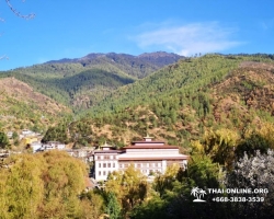 Поездка Королевство Бутан из Тайланда - фото Thai Online 41