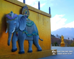 Поездка Королевство Бутан из Тайланда - фото Thai Online 132