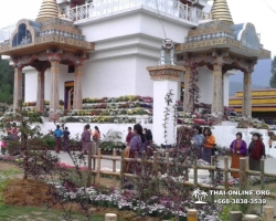 Поездка Королевство Бутан из Тайланда - фото Thai Online 64