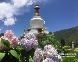 Поездка Королевство Бутан из Тайланда - фото Thai Online 149