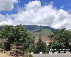 Поездка Королевство Бутан из Тайланда - фото Thai Online 94