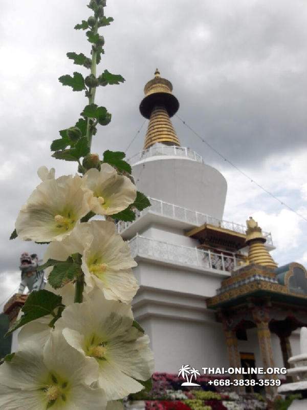 Поездка Королевство Бутан из Тайланда - фото Thai Online 188