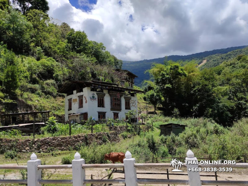 Поездка Королевство Бутан из Тайланда - фото Thai Online 29