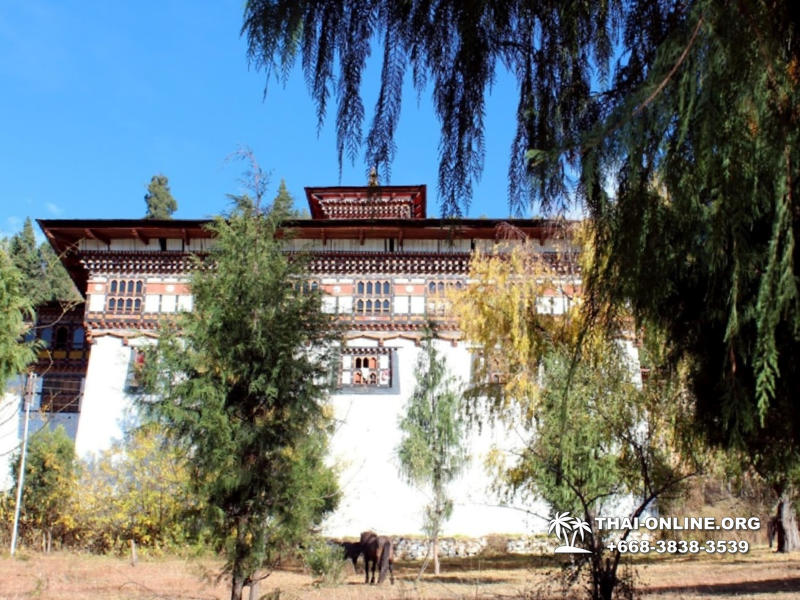 Бутан из Паттайи путешествие - фото 20