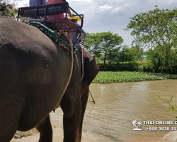 Деревня слонов поездка Тайланд Seven Countries - фото 81