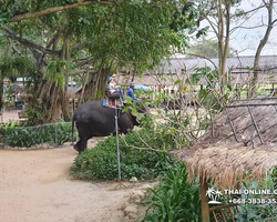 Деревня слонов поездка Тайланд фото Thai-Online 24